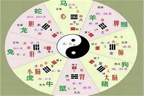 恩五行|恩字五行属什么属性 (五行既含火又含土的单字)